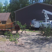 Our crew working on a large tree job in Columbia City, Indiana.